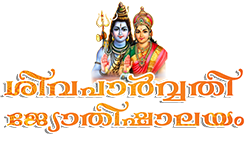 Astrology Solution for Education Career Job Business Issues palakkad
